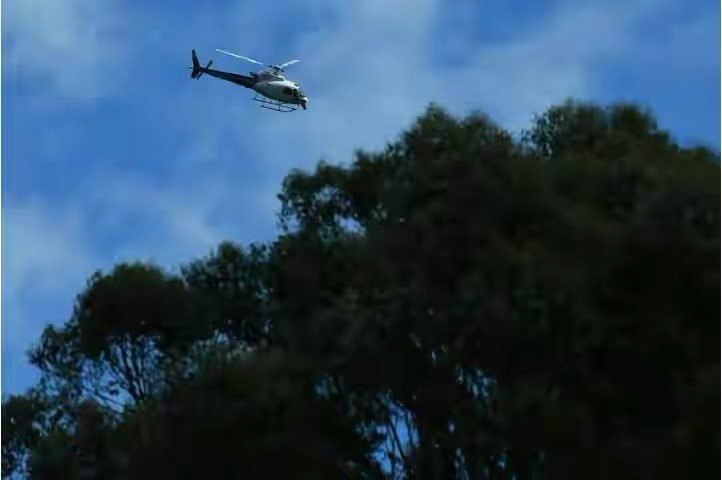 澳洲一直升机坠毁5人死亡，澳知名肉企老板坠机身亡