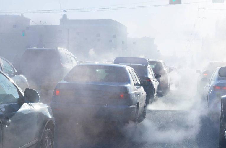 一项研究揭示汽车引起的空气污染每年造成数千新西兰人死亡