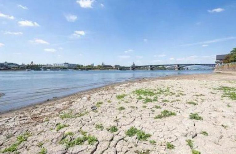 欧洲遭遇500年来最严重干旱：莱茵河面临断航