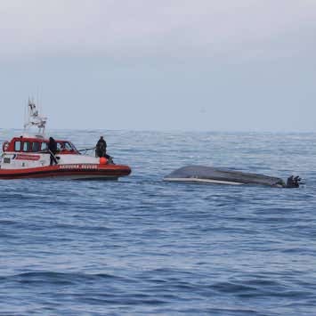 一包租渔船在凯库拉疑被鲸鱼倾覆造成5人死亡